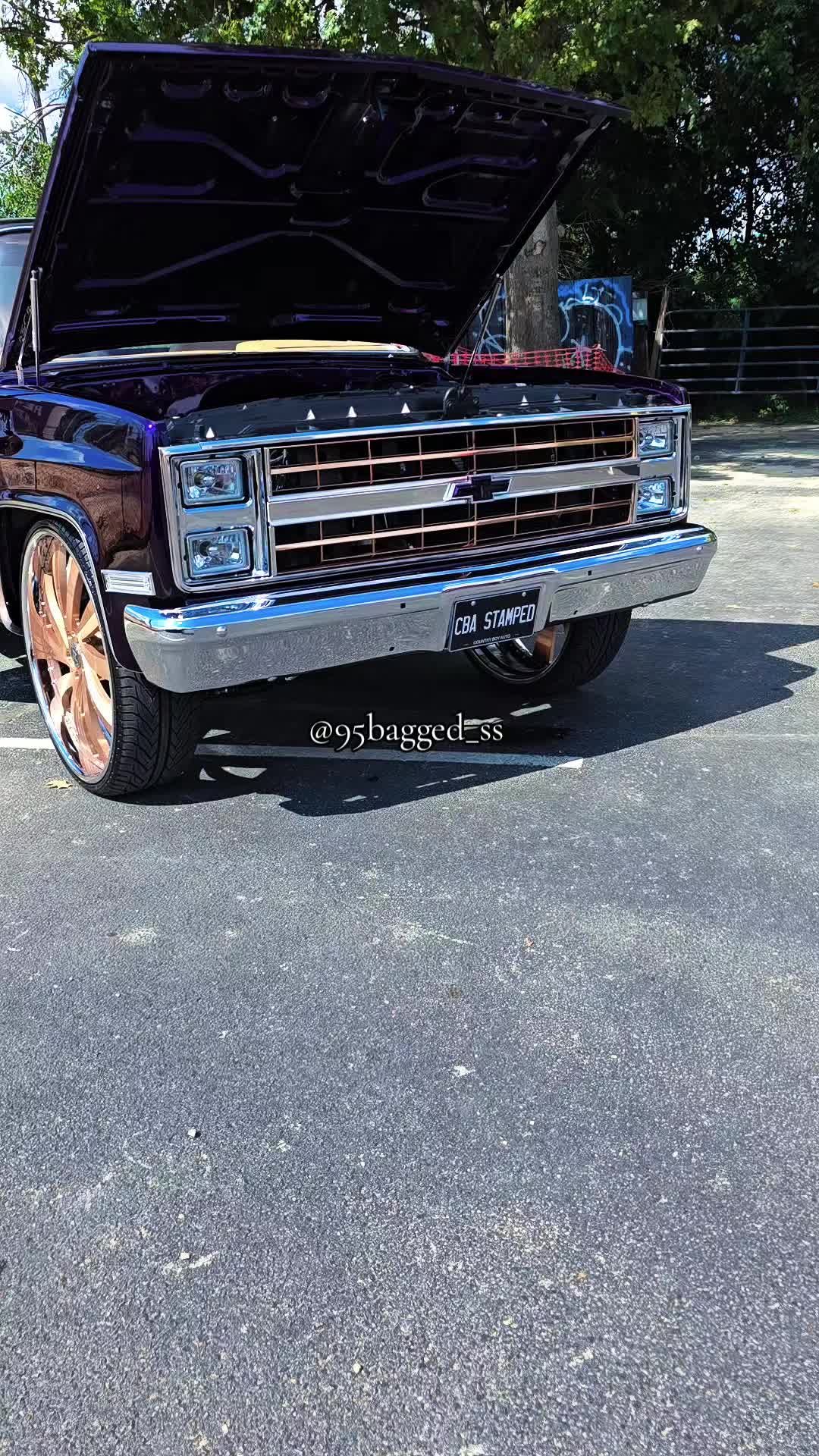 @95bagged_ss
