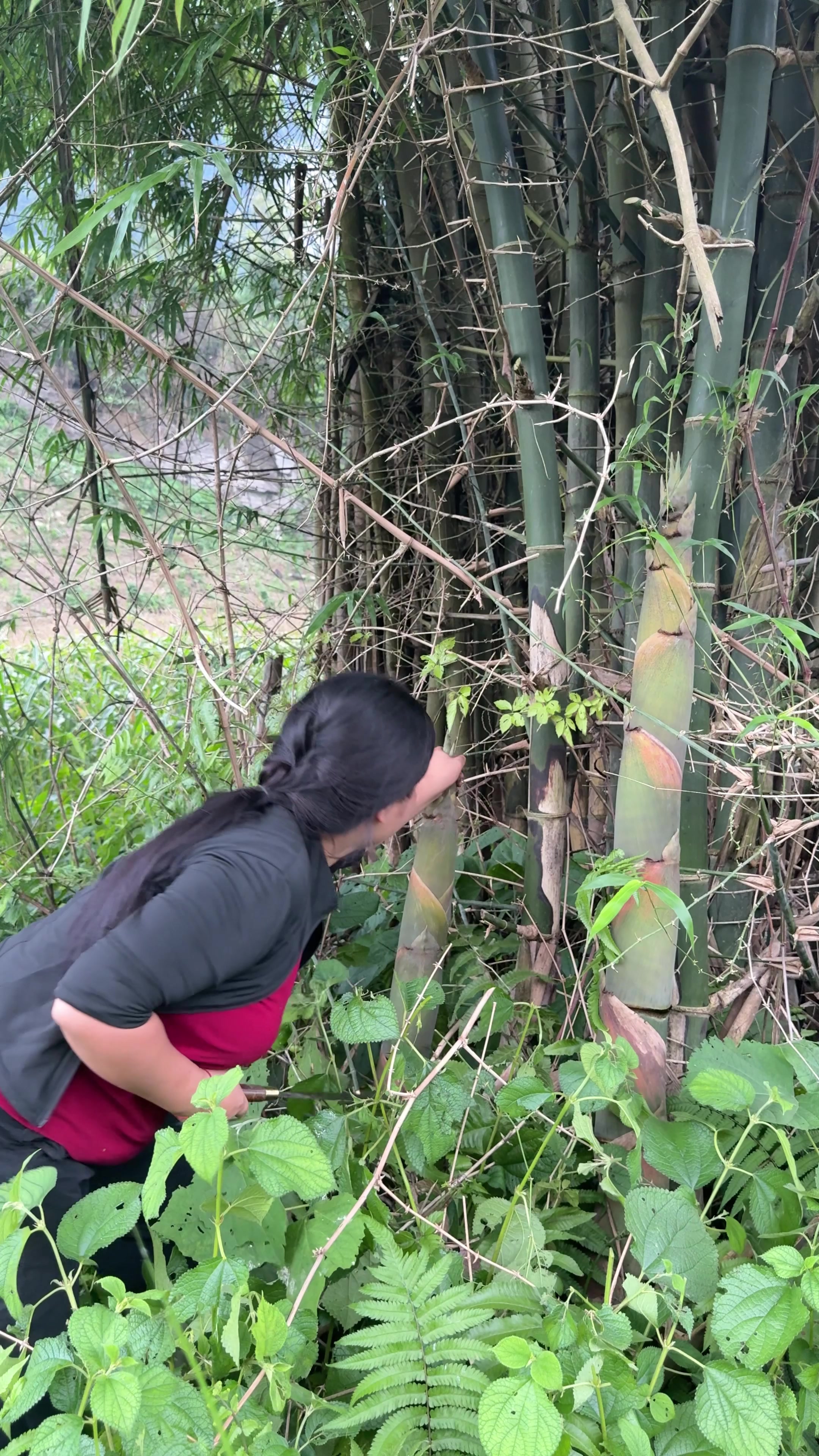 @Sức T&agrave;y