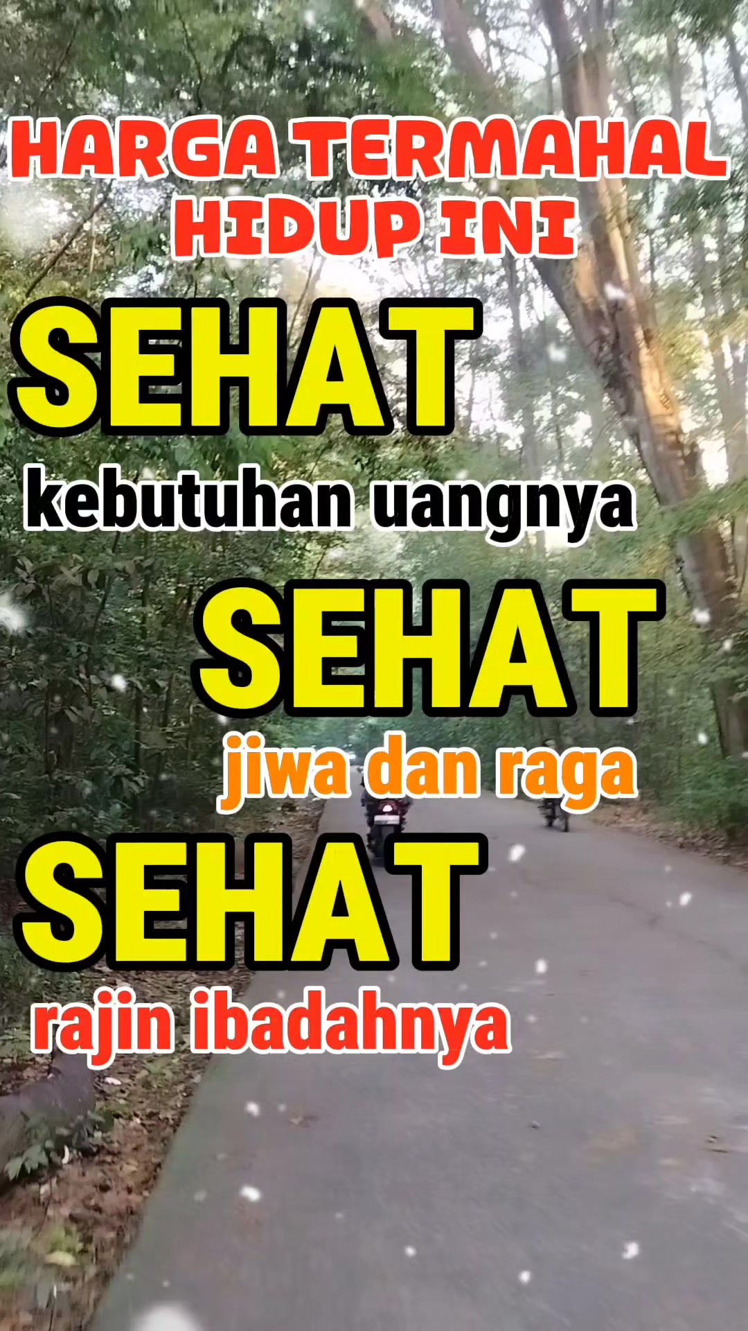 @PORTALNEWS008