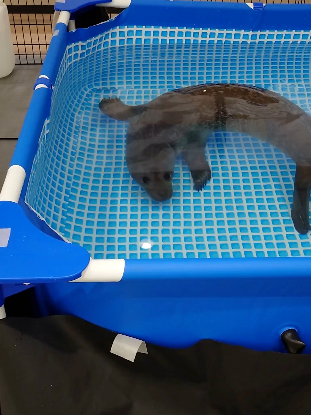 @TCA東京ECO動物海洋専門学校