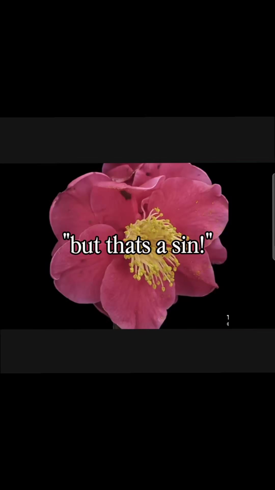 @𐔌     ᥣ&upsilon;𝗄&alpha;   〃꒱