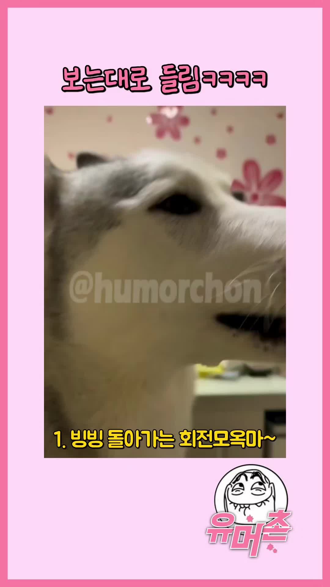 @유머촌