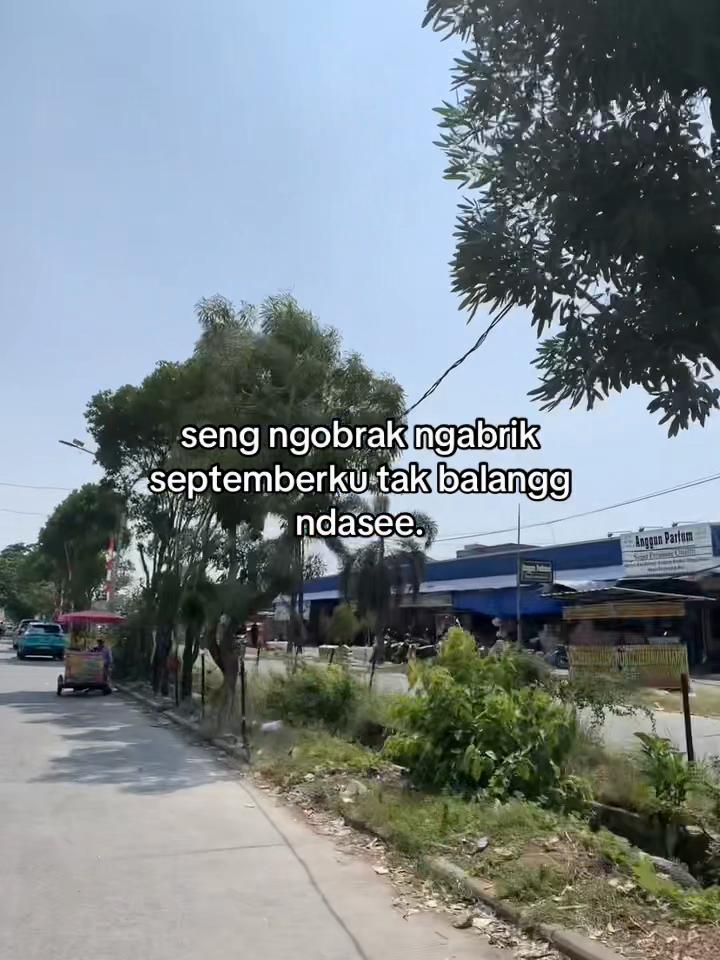 @hokyahokya