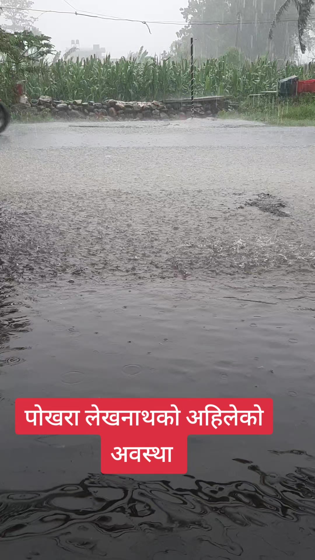 @अनुश्रेया पुस्तक पसल🤝🙏