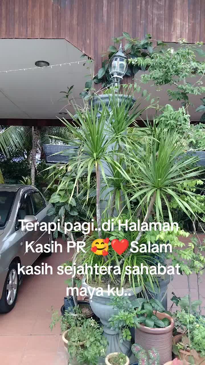 @Che Am KPR 11153🦂💕