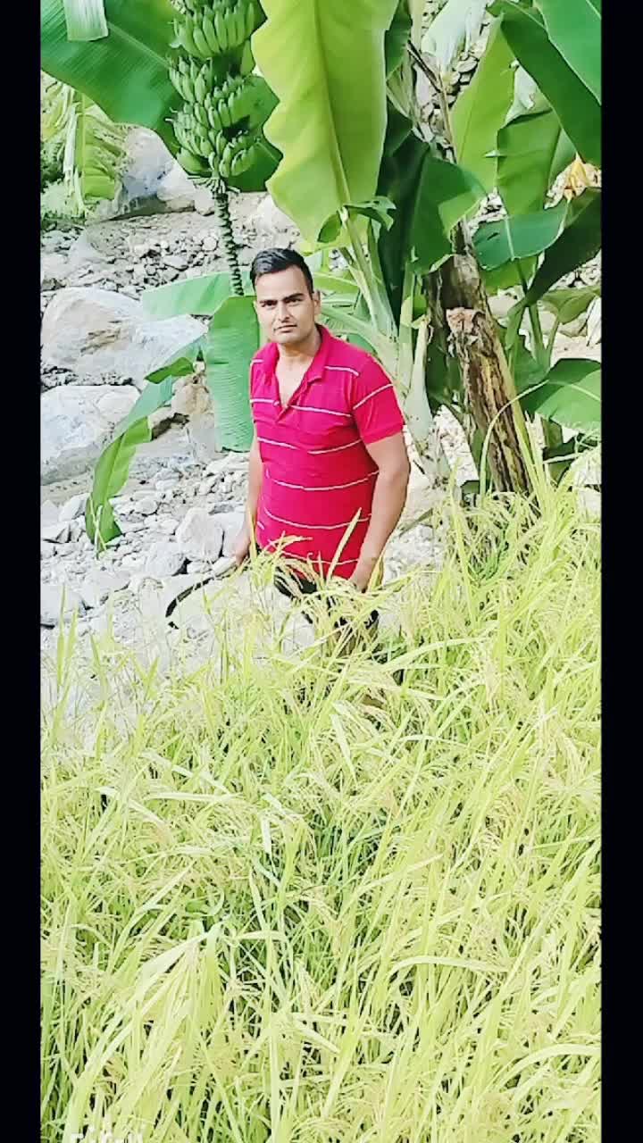 @Sunil Dhami
