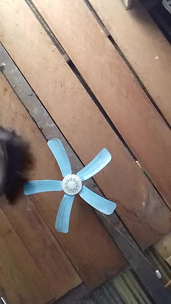 @~~~~~