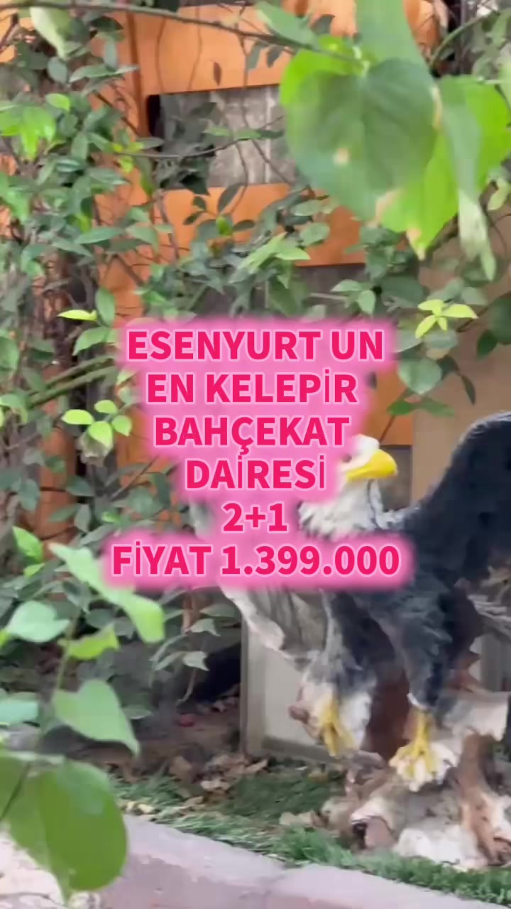 @𝐄𝐌𝐋𝐀𝐊Ç𝐈 𝐀𝐃𝐄𝐌 🏡