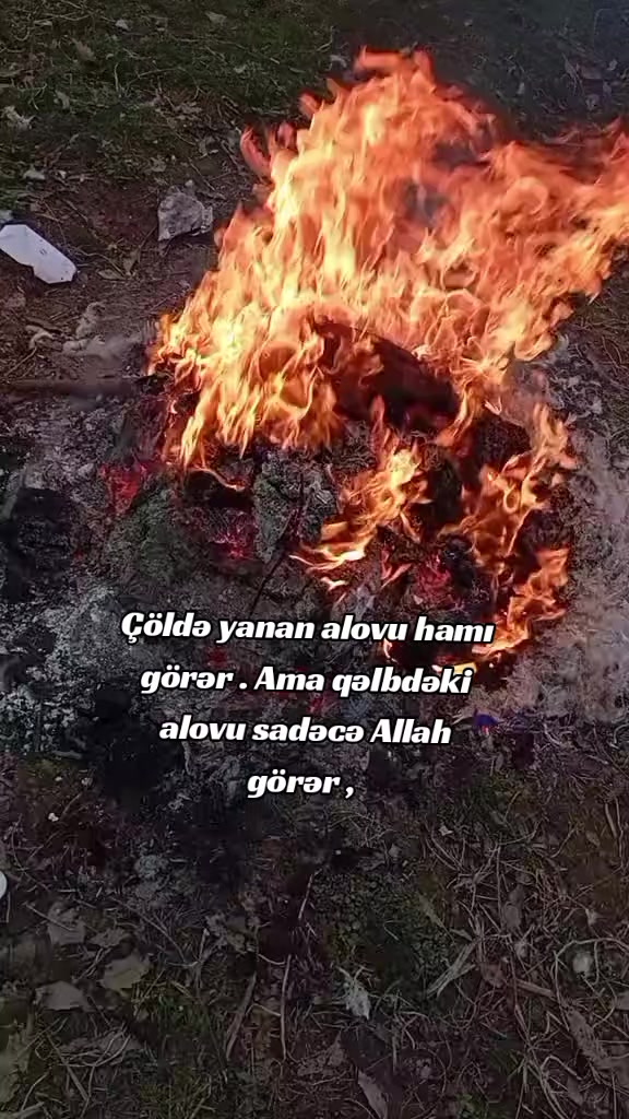 @☬TALIŞ_QIZI☬