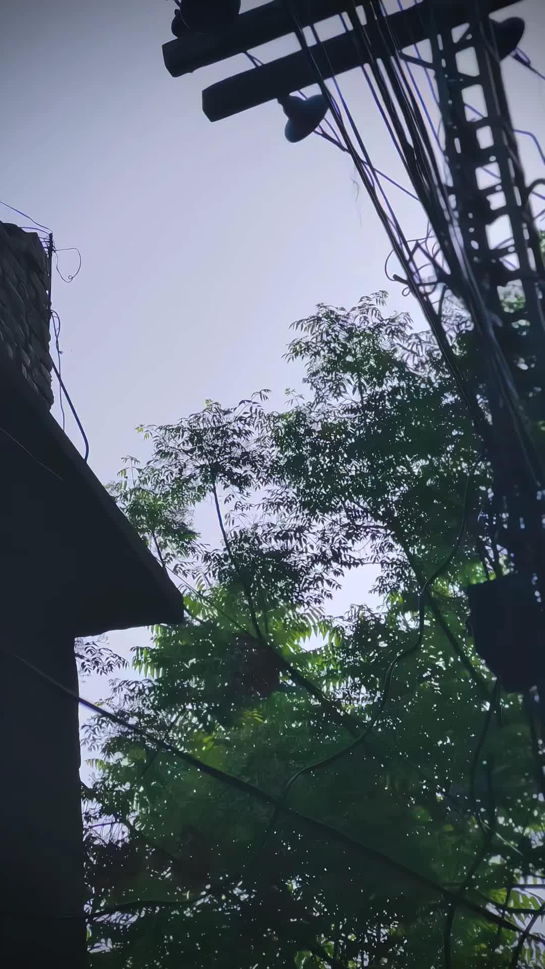 @💸 S-K; مھمند🐎