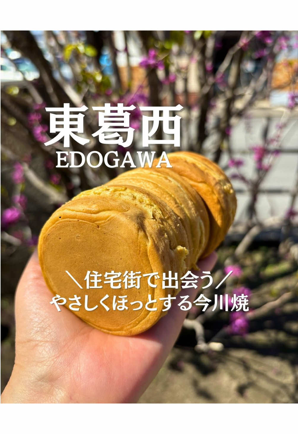 @ことり〻江戸川区 まちの魅力再発見