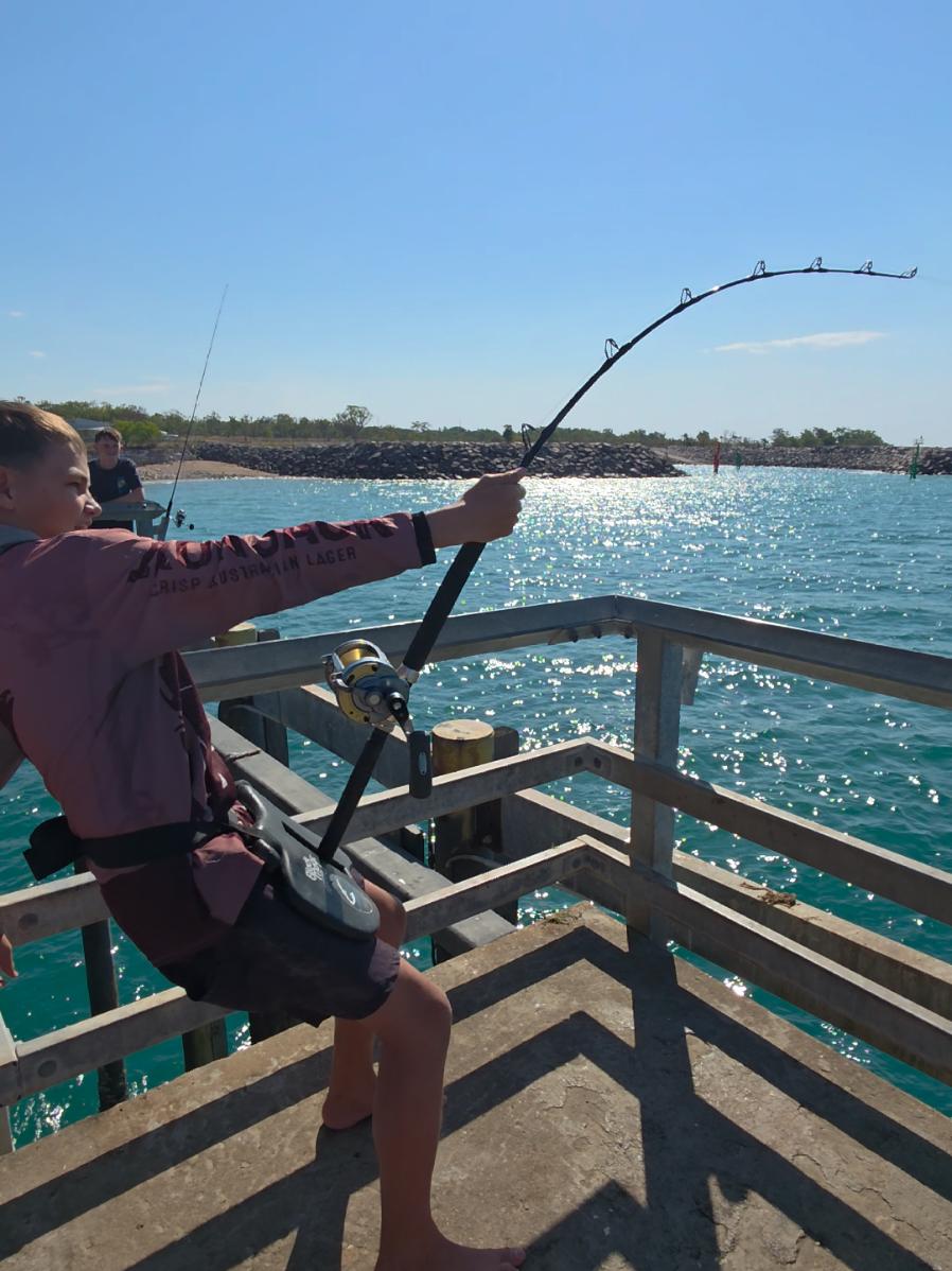 @NT SHARK KING