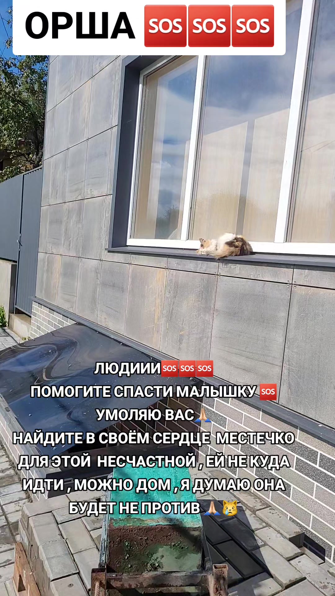 @marinka20_09