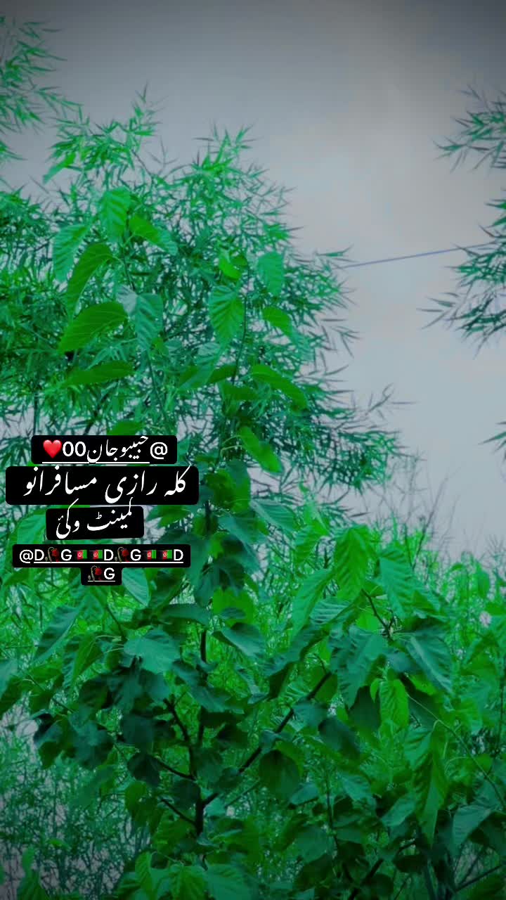 @🌿مظفرترین🌿