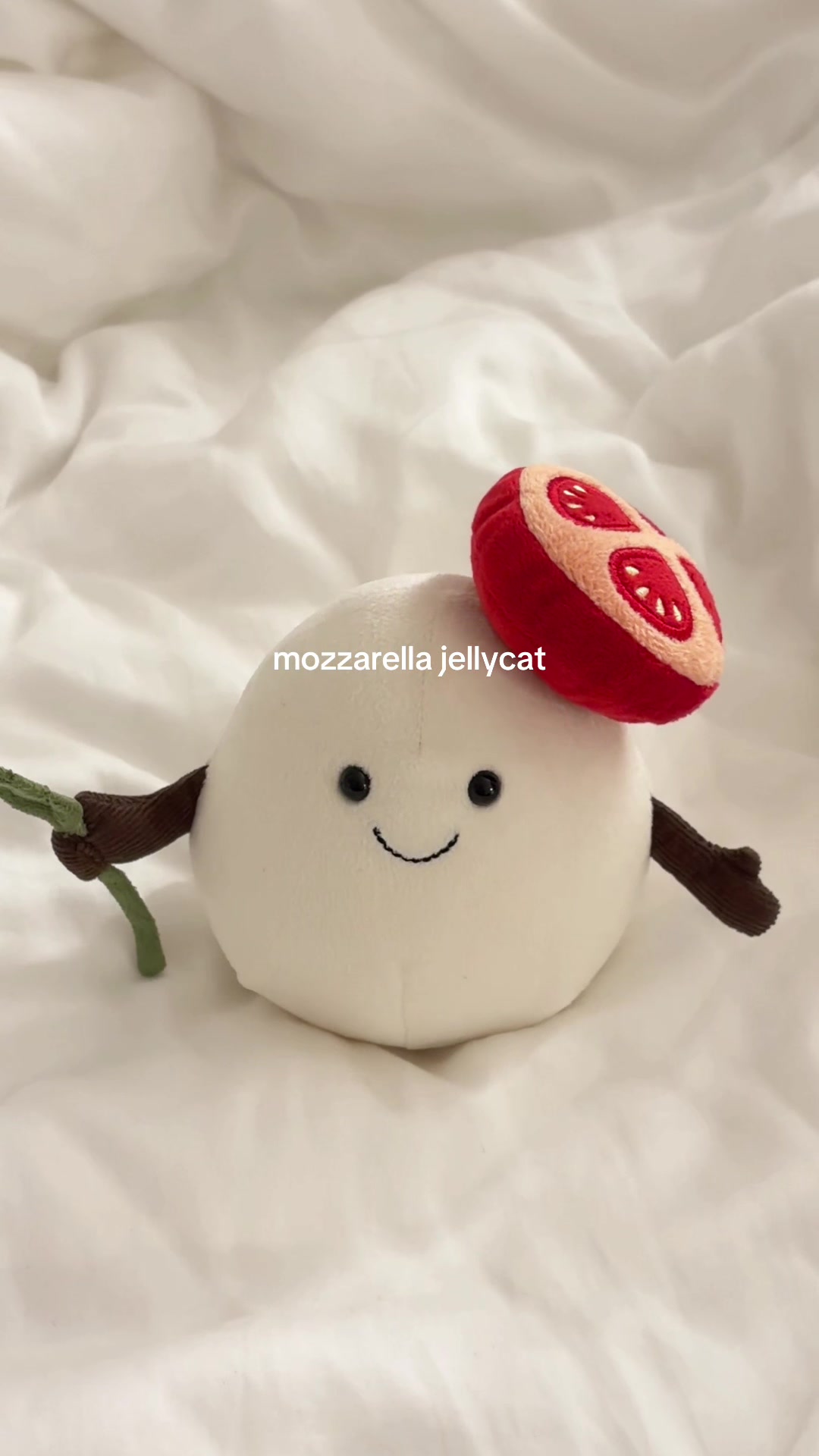 @janelle (*˙˘˙)♡