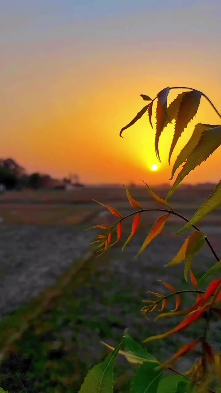 @Irtaza 267