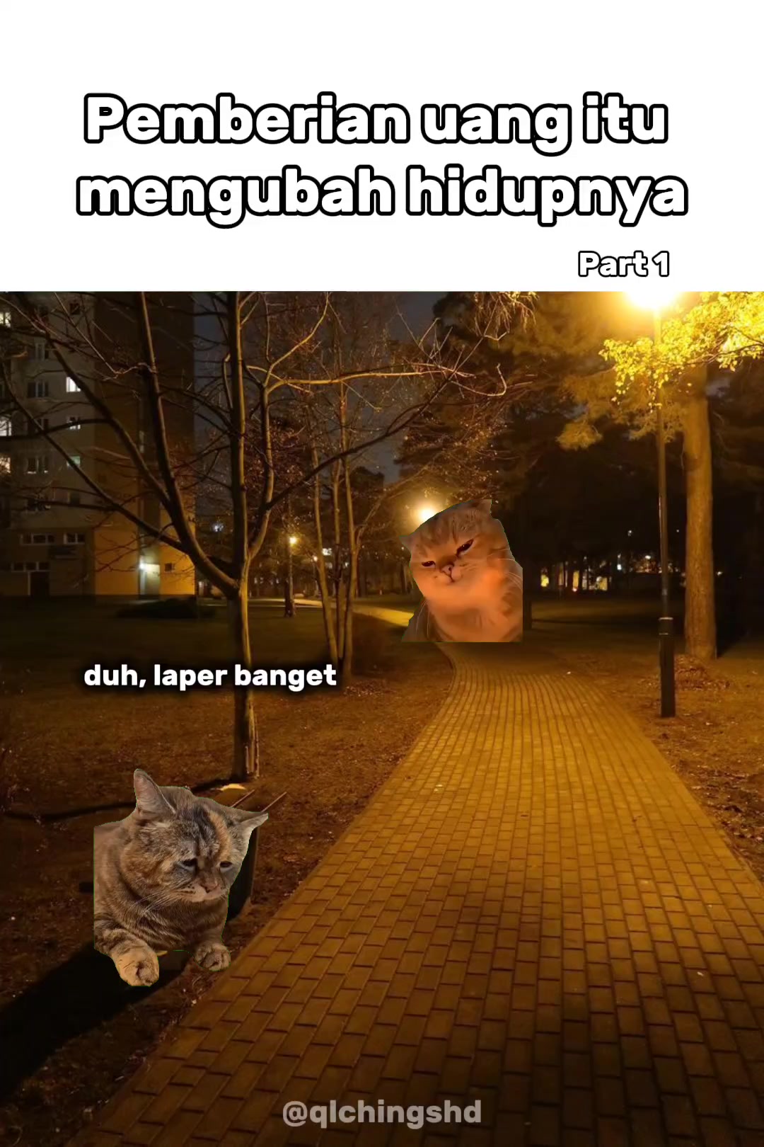 @qlchings