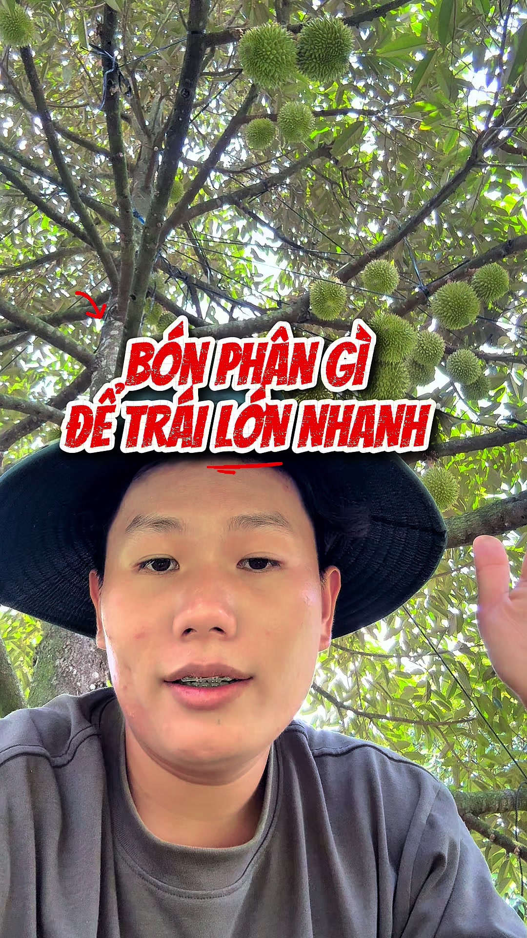 @Hưng Farm - Store