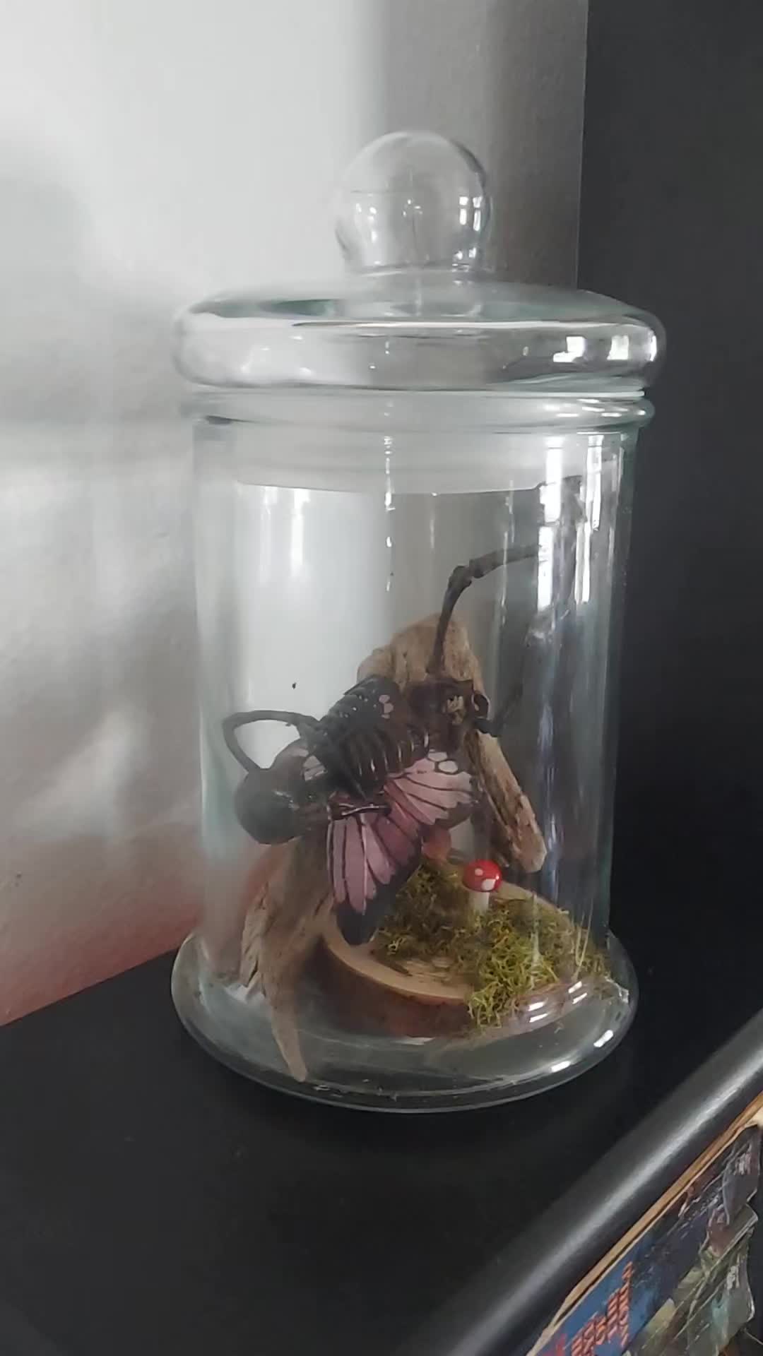 @cranky.mandrake