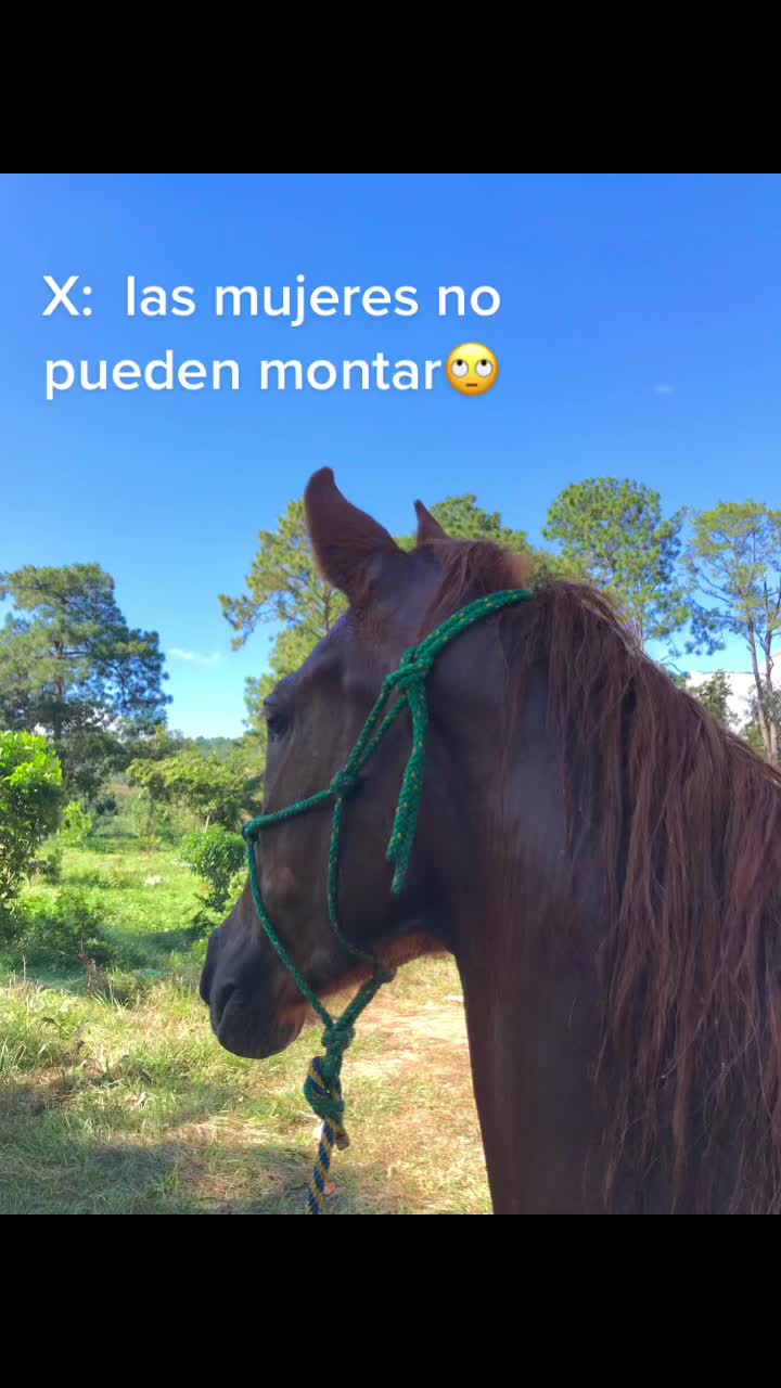 @Dianita👑