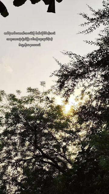@၈/အညာသားလက်ဇီ