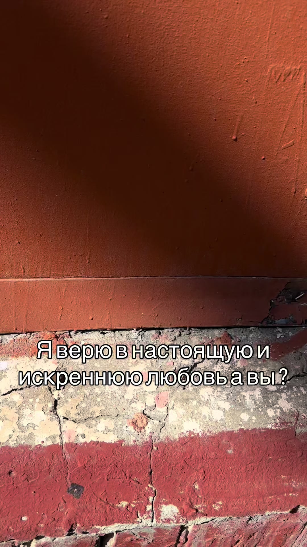 @тг: shirokovvladislav