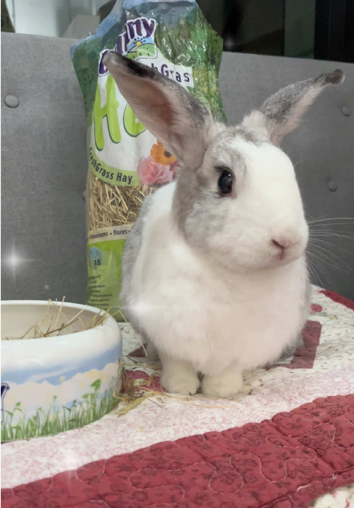 @Pet for Life