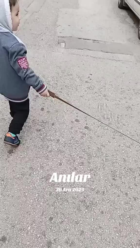 @pitbulll👑
