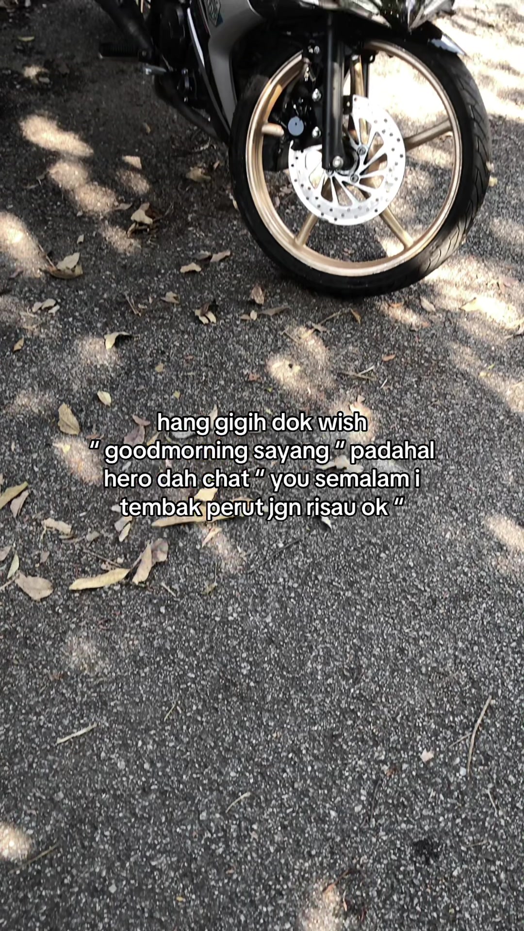 @๐ ๐ โ โฌ โ๏ธ