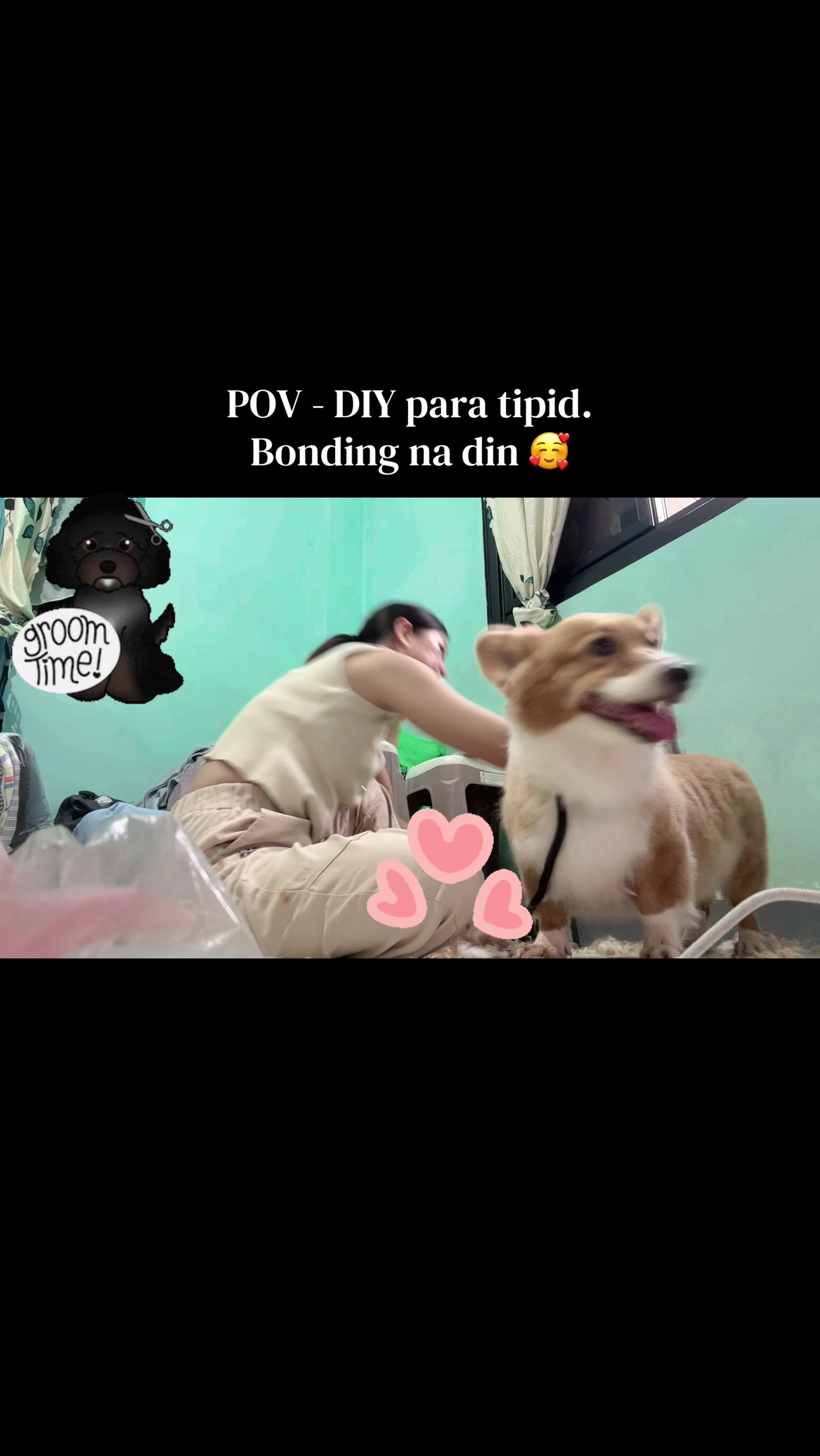 @NN 🎀