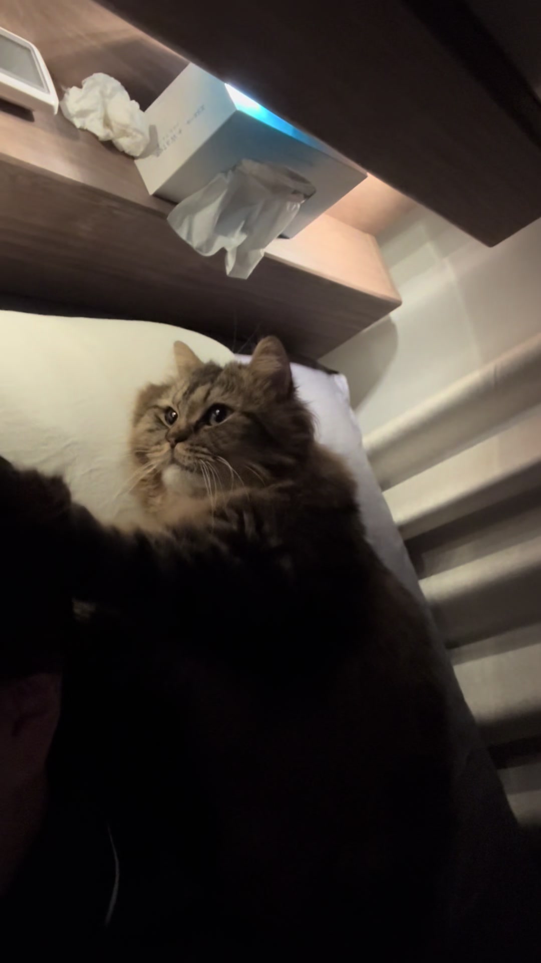 @ごろ
