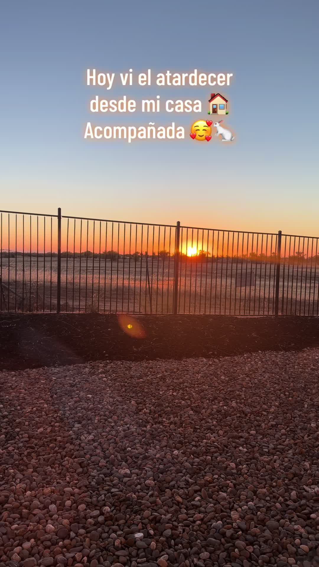@Lauras0826