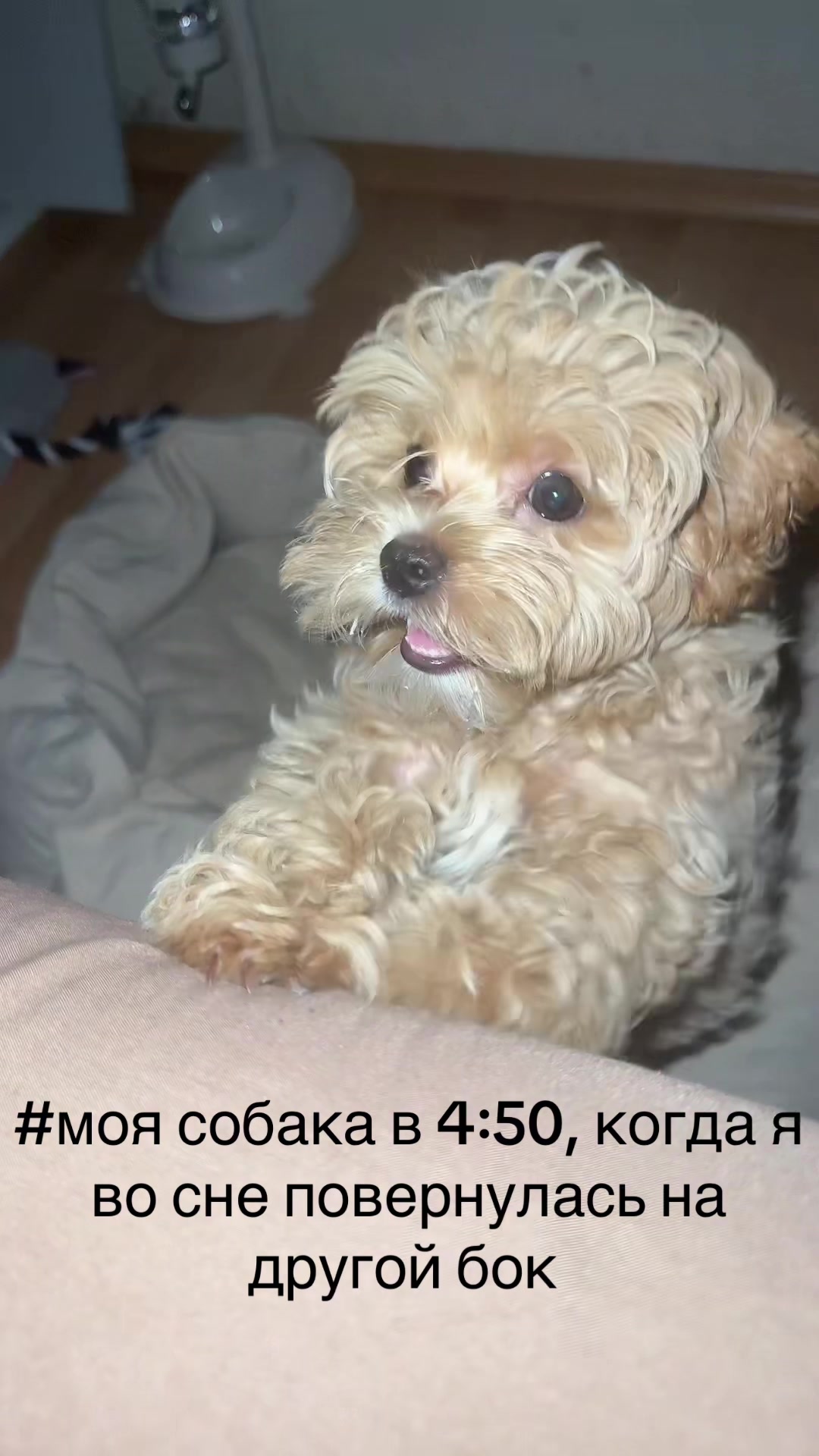 @Nastya Rudakova