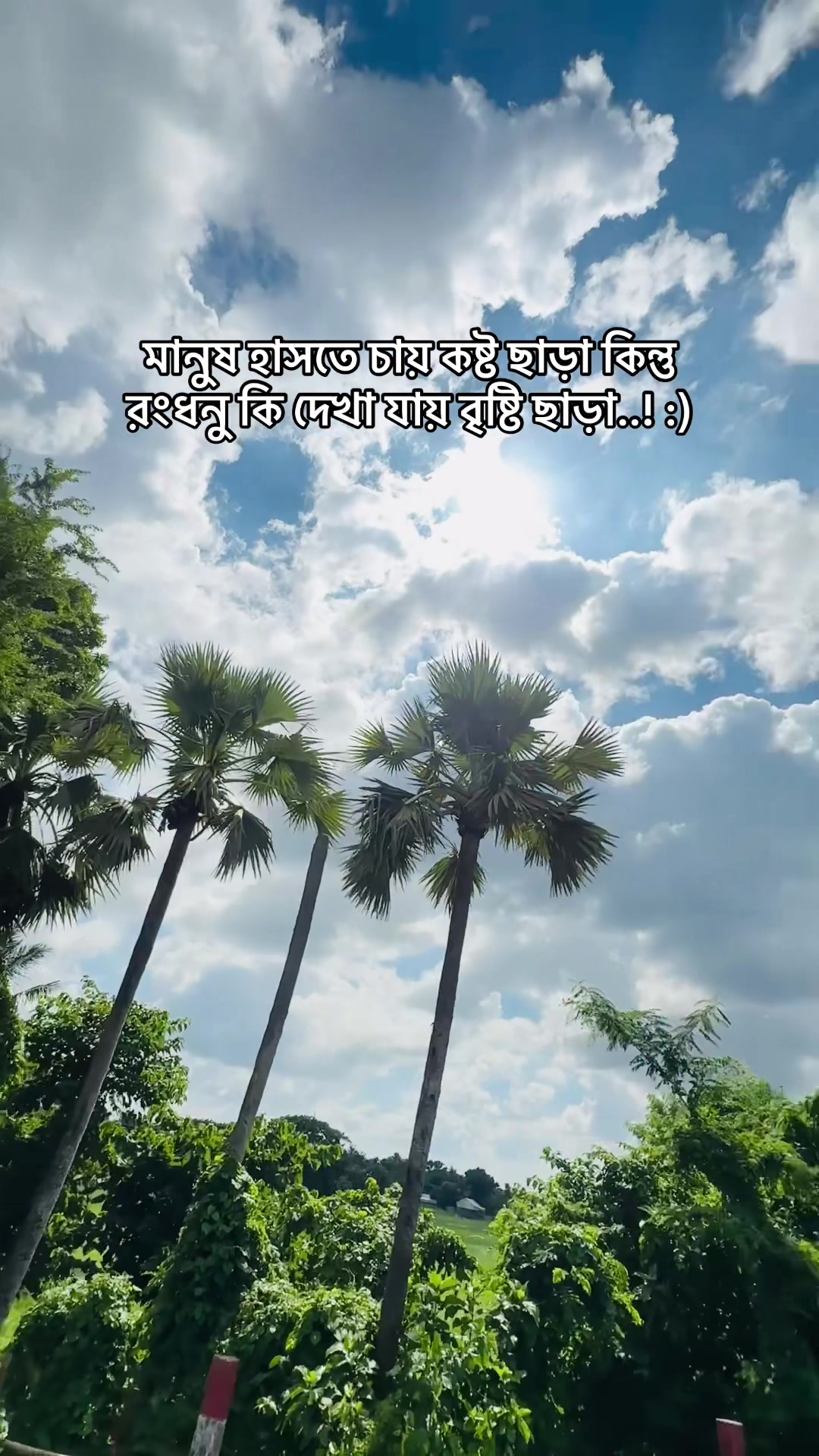 @SA JI N ⚡⚜️