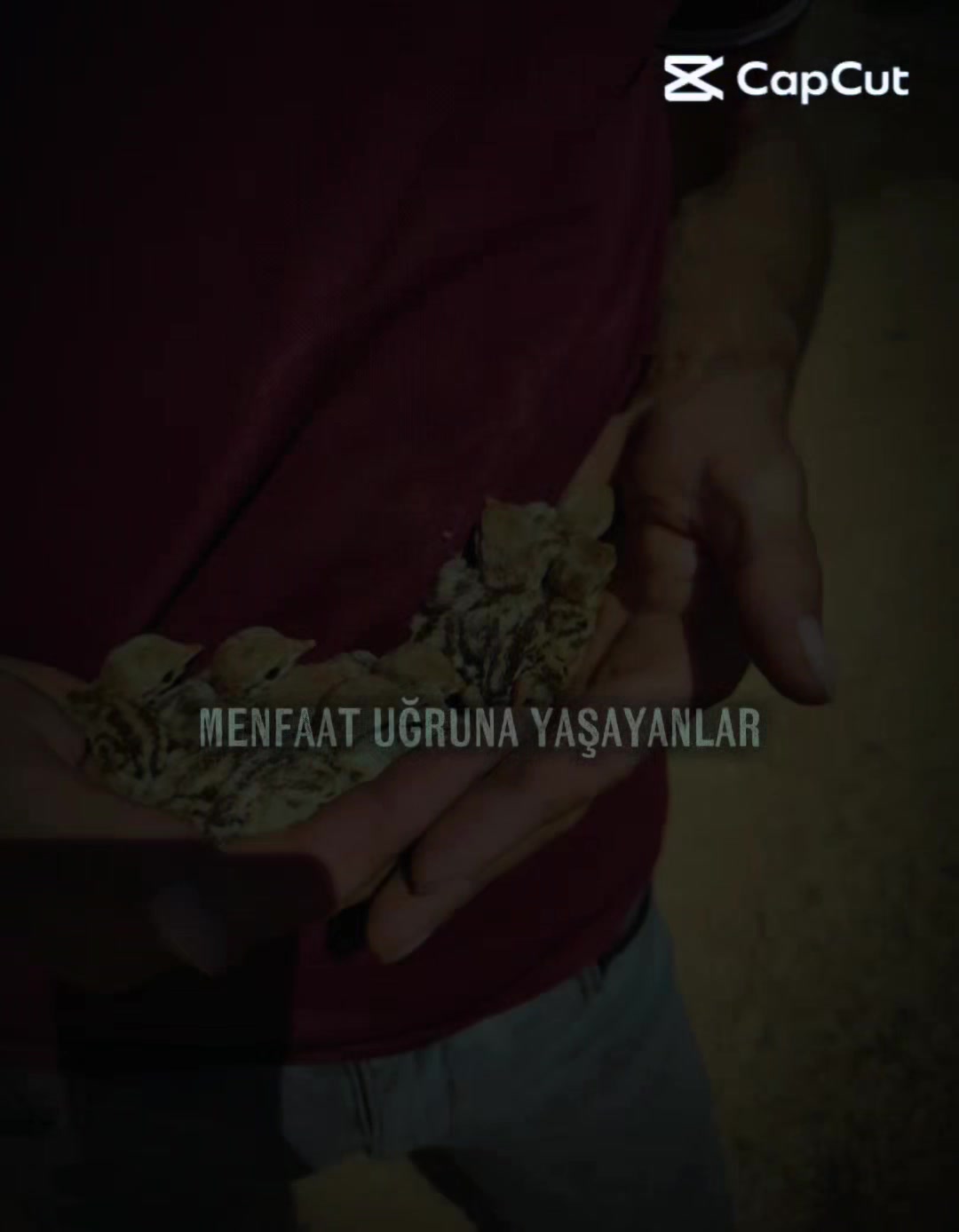 @Ferdi Atilgan