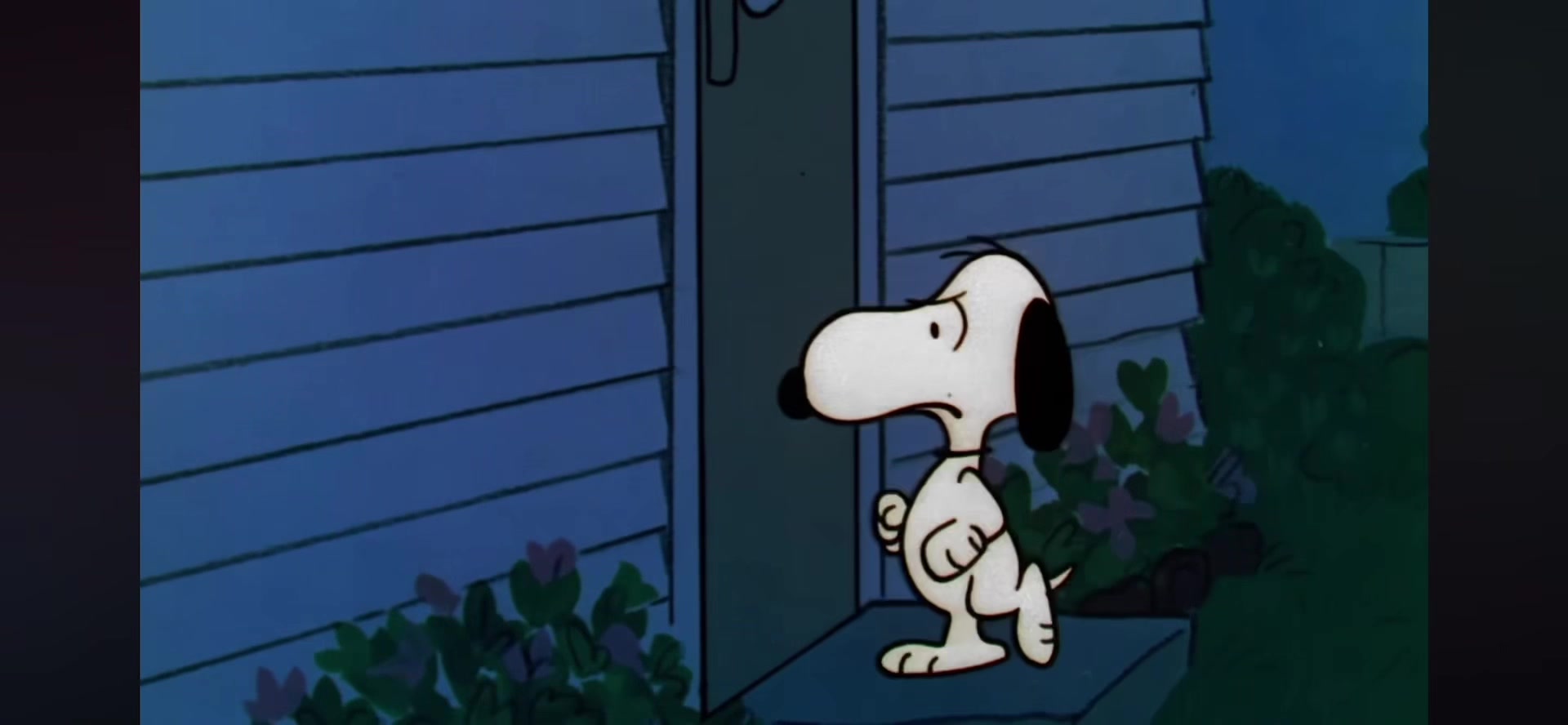 @Steferz&Snoopy