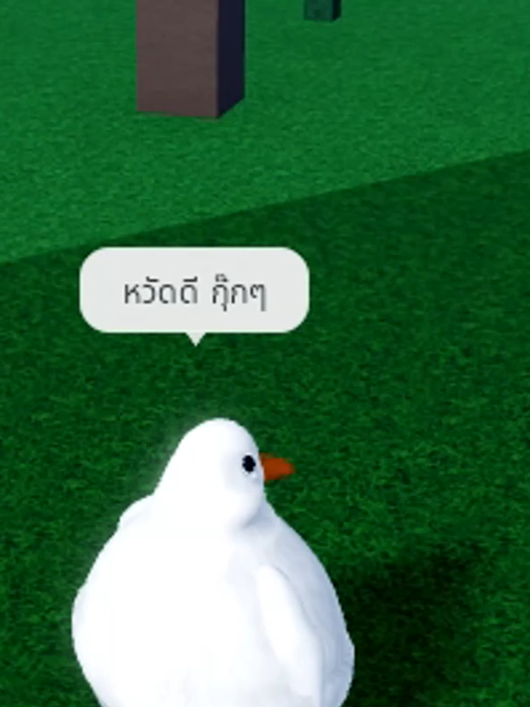 @KaiToon