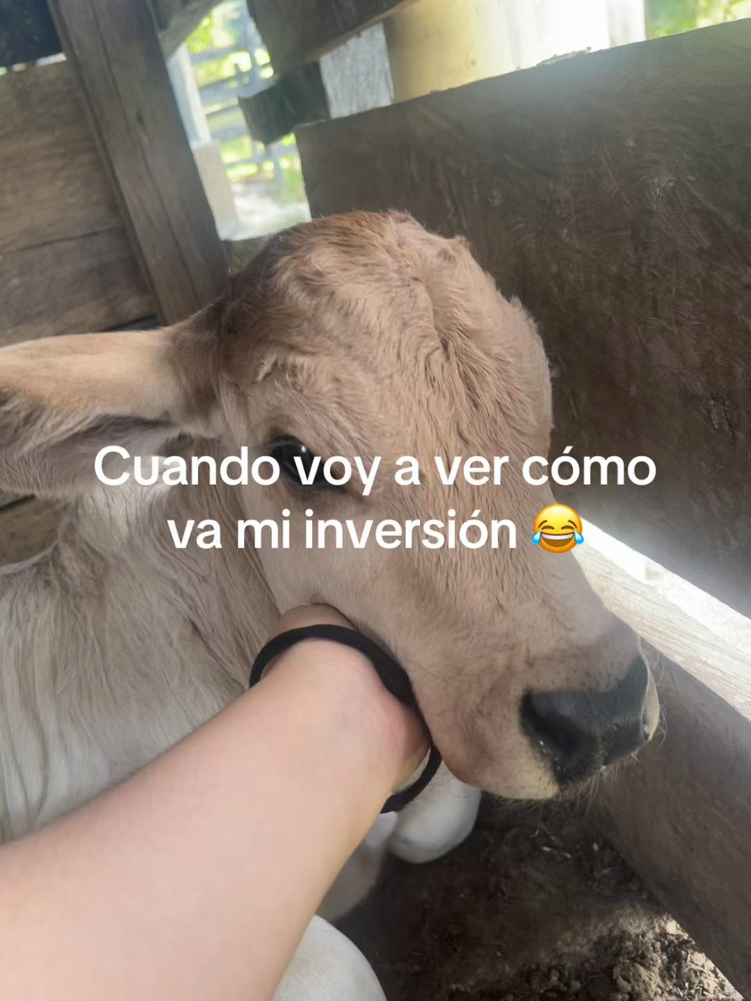 @Daniela Solano🫶🏻