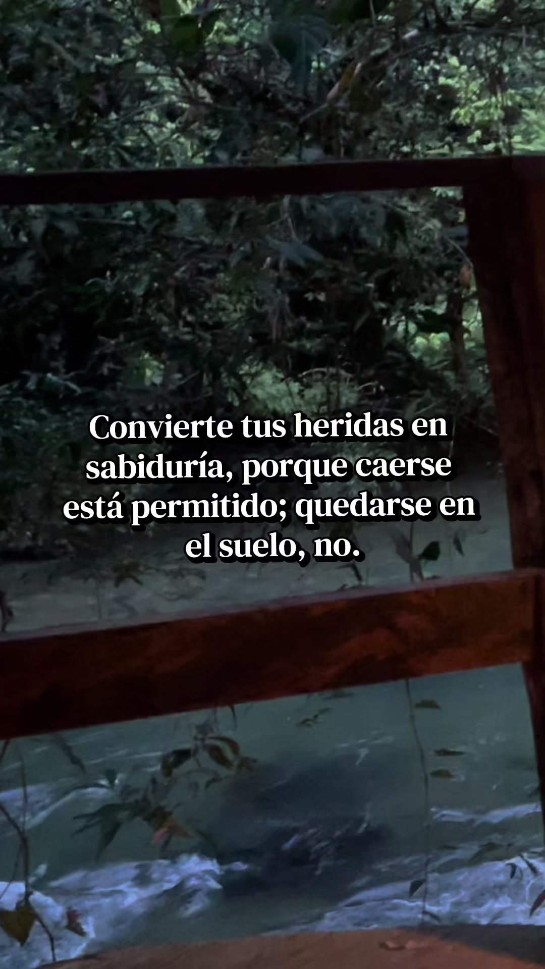 @Katha_Galeano