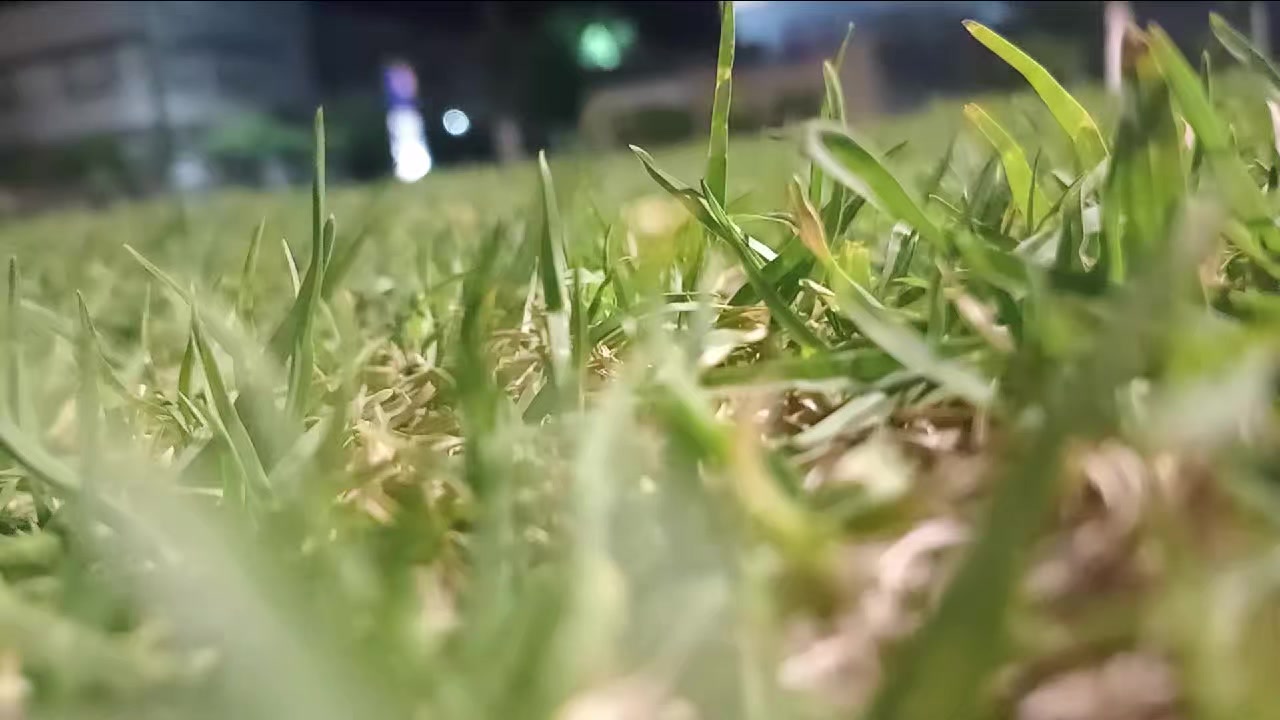 @ام. يحي