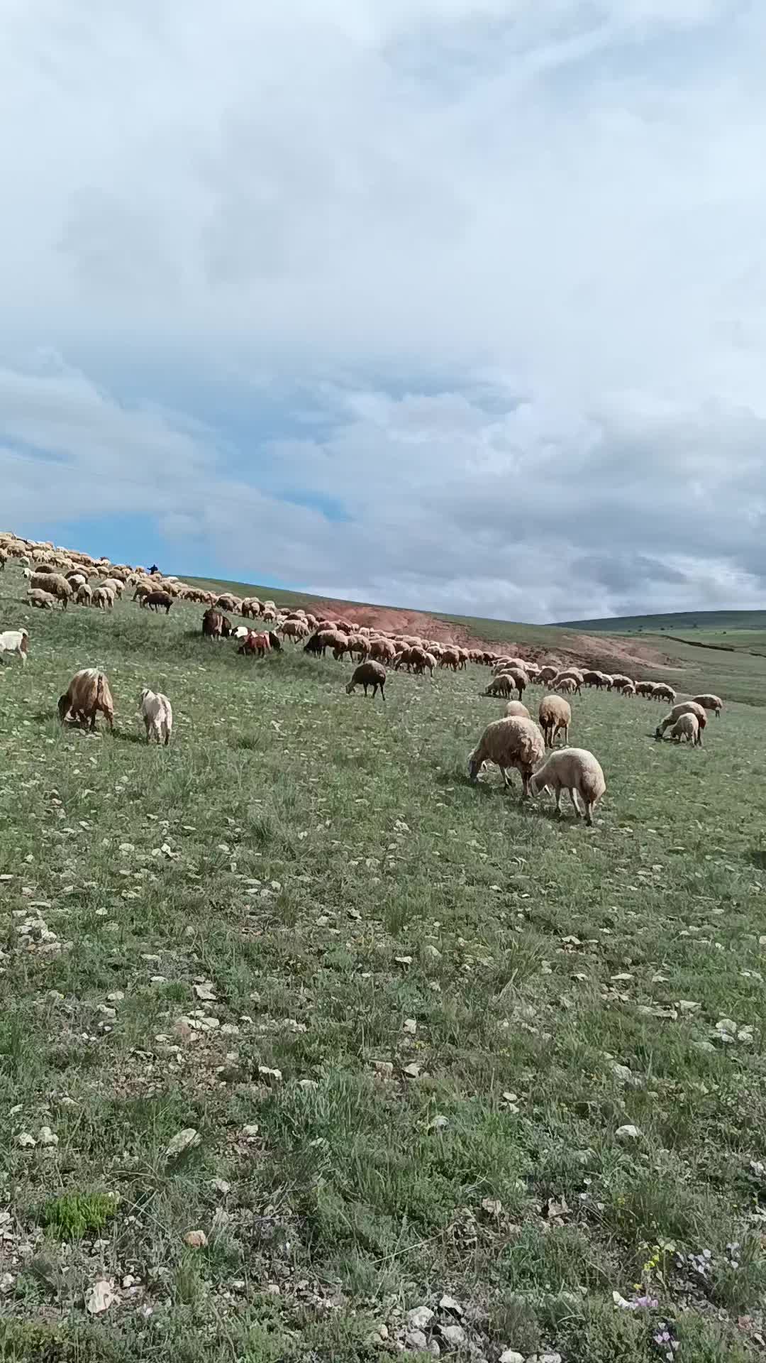 @Namık Cyln