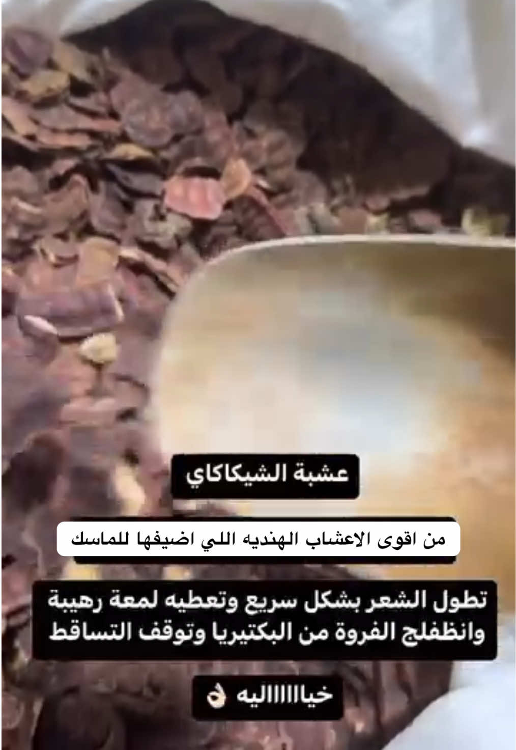 @رِقــة | RIQA