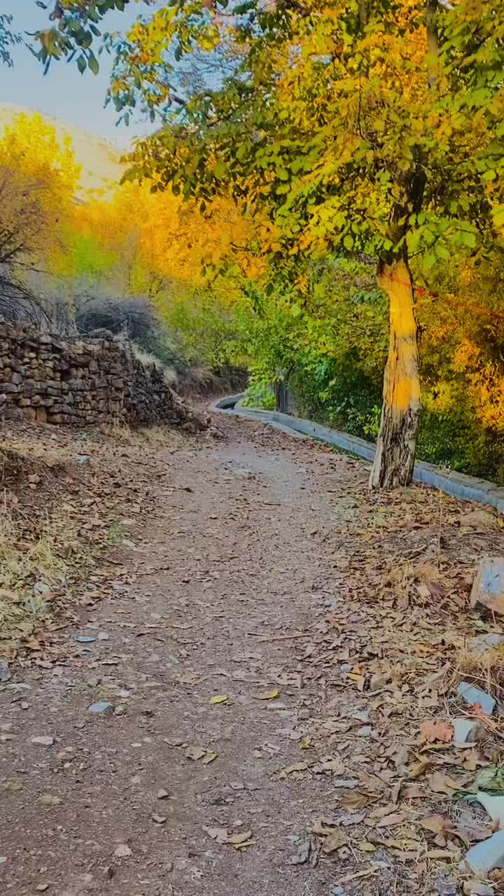 @﮼هەورامی🖤.