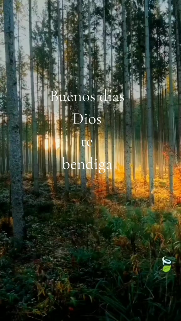 @Michel Cordero