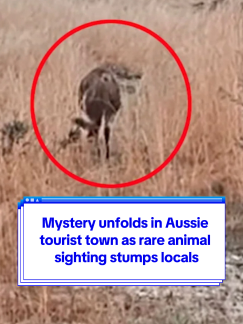 @Yahoo Australia