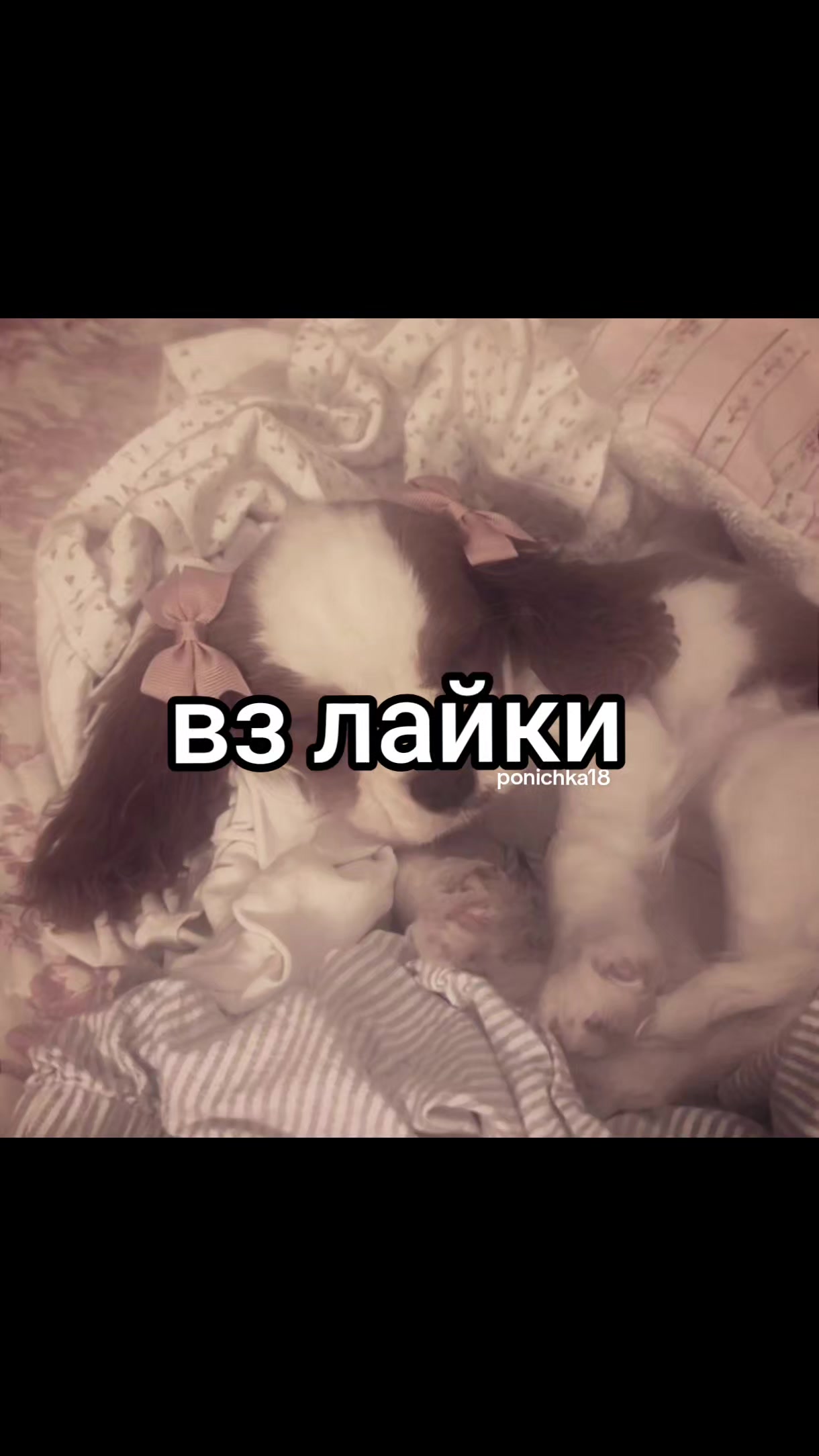 @актив