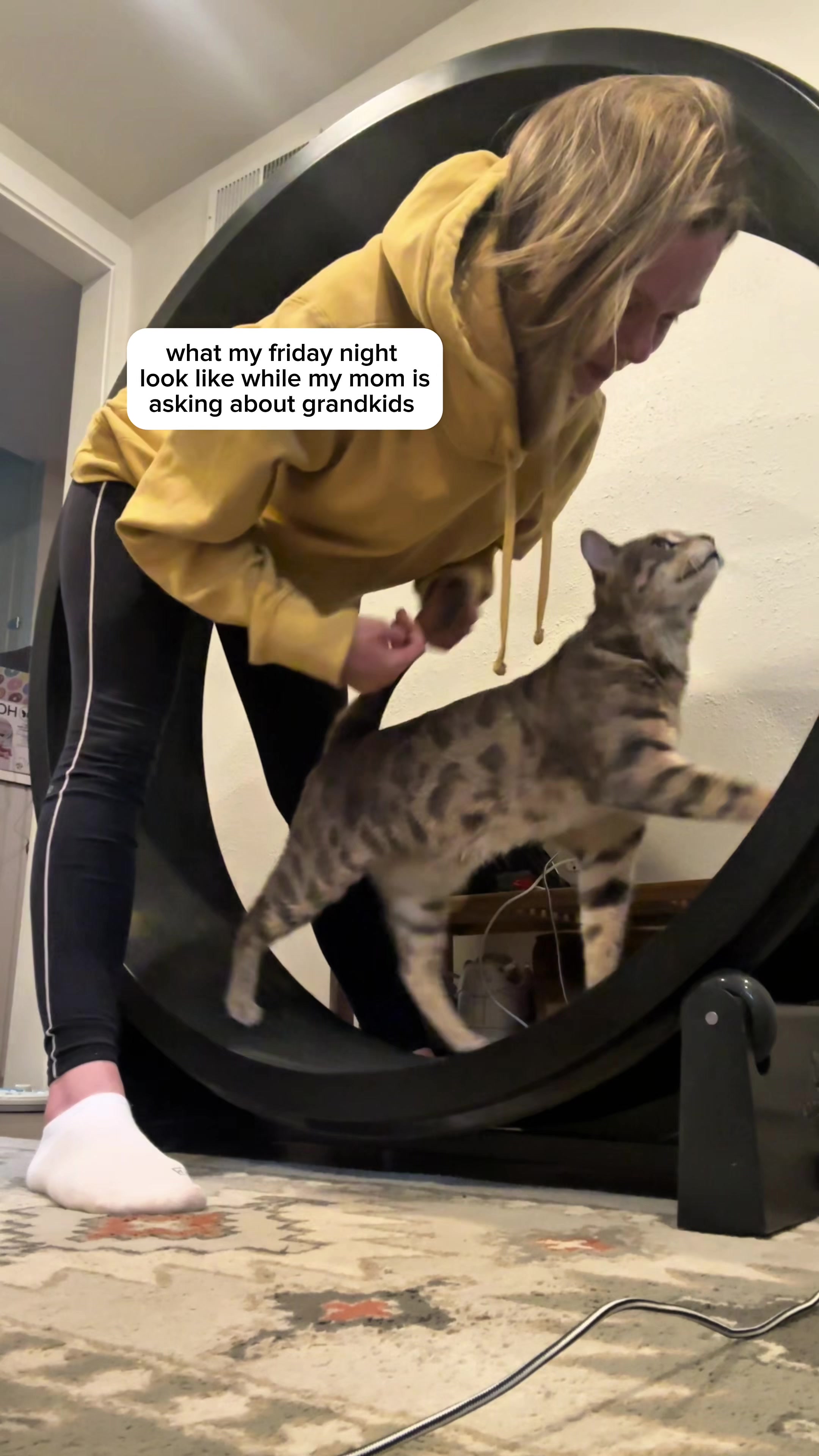 @Mochi the Bengal