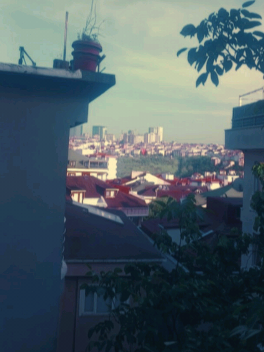 @irem zenger