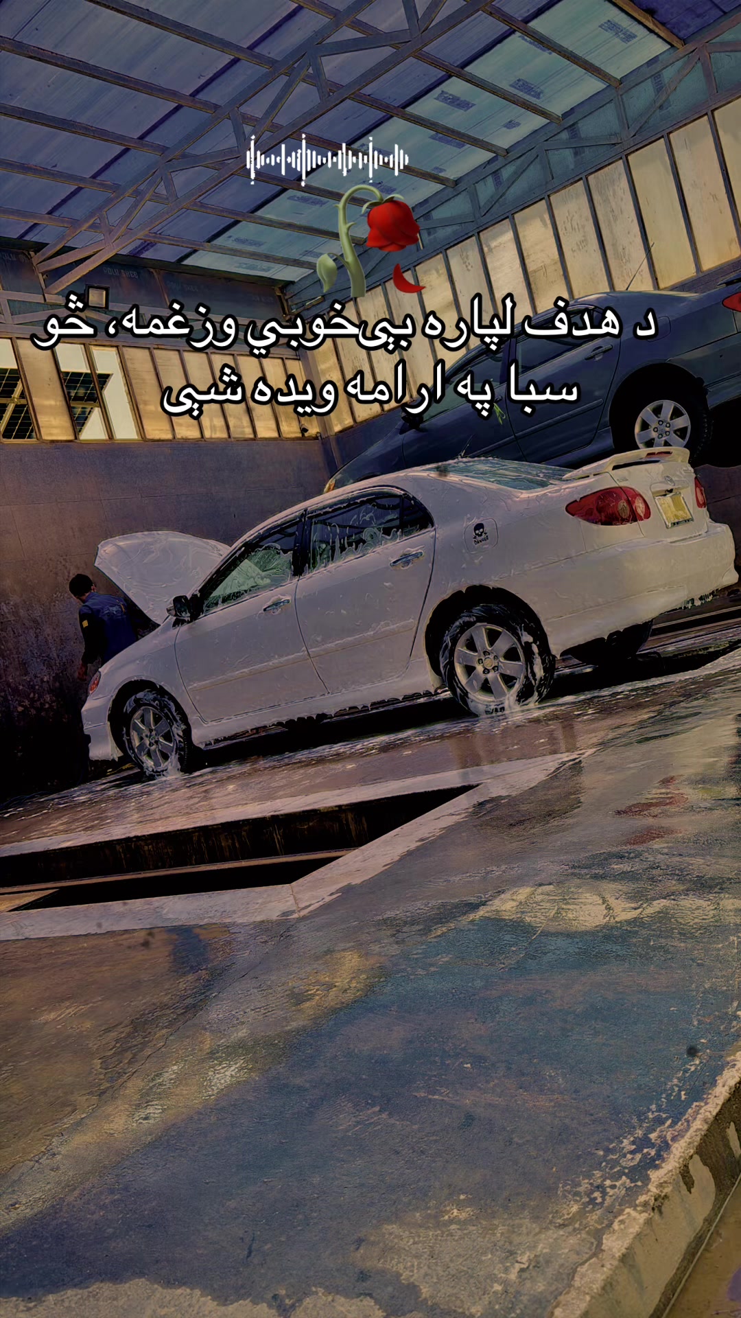 @Bahawodin Bahar