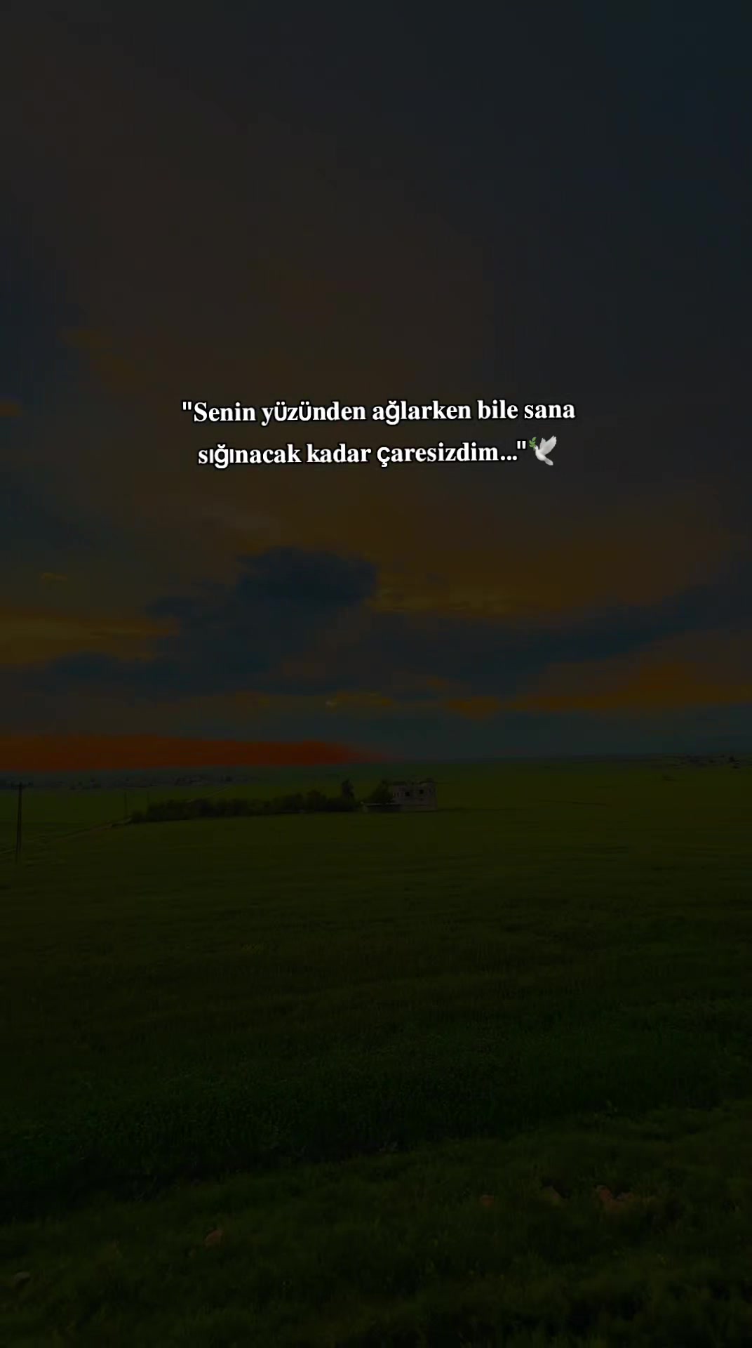 @𝐒 𝐓 𝐄 𝐑 𝐊 ✷